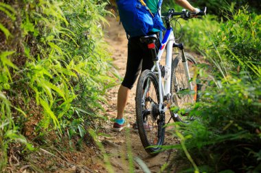 Mountain biking in summer forest