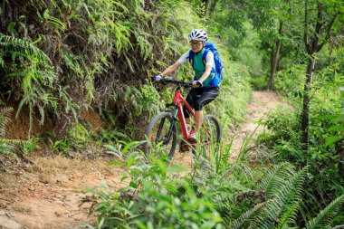 Mountain biking in summer forest
