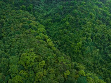 Aerial view of beautiful tropical forest mountain landscape