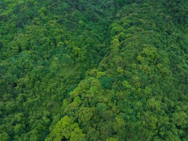 Aerial view of beautiful tropical forest mountain landscape