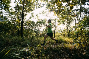 Trail runner running in summer forest trail