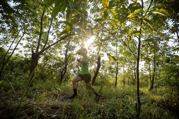 Trail Runner Running Summer Forest Trail — Foto Stock
