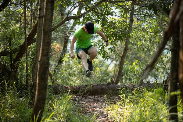 Woman Trail Runner Running Jumping Fallen Tree Trunk Tropical Forest — Stock Fotó