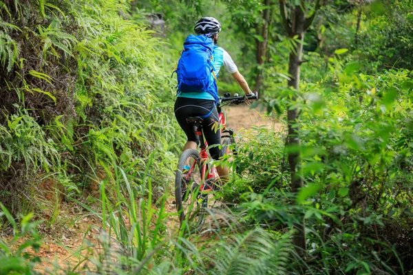 Mountain Biking Summer Forest — Stock fotografie