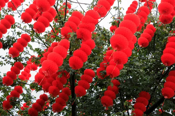 Вид Зелене Дерево Прикрашене Традиційними Червоними Ліхтарями Святкування Китайського Весняного — стокове фото