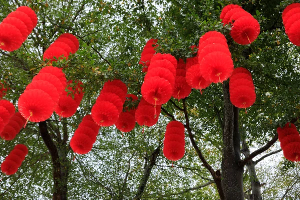 Pohled Zelený Strom Zdobený Tradičními Červenými Lucernami Oslavu Čínského Jarního — Stock fotografie