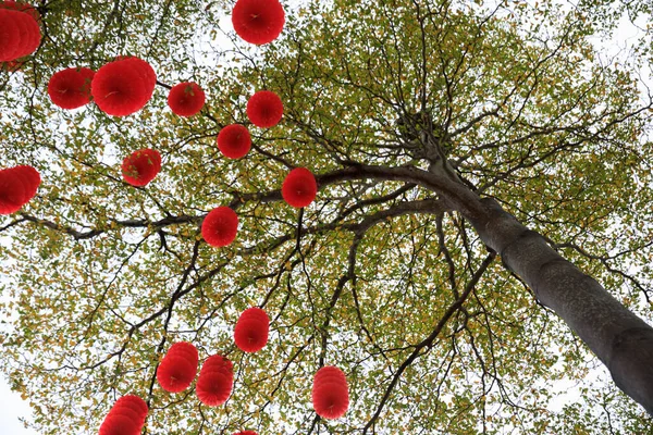 Widok Zielone Drzewo Ozdobione Tradycyjnymi Czerwonymi Latarniami Świętowania Chińskiego Wiosennego — Zdjęcie stockowe