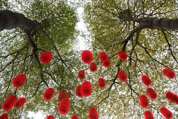 View Green Tree Decorated Traditional Red Lanterns Celebrating Chinese Spring — Stock Photo, Image