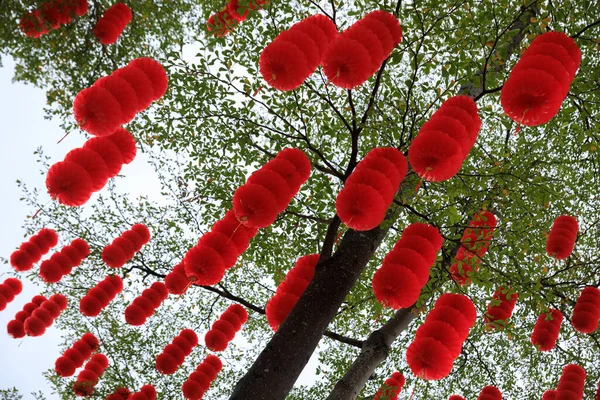 Widok Zielone Drzewo Ozdobione Tradycyjnymi Czerwonymi Latarniami Świętowania Chińskiego Wiosennego — Zdjęcie stockowe
