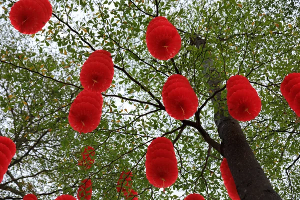 Blick Auf Grünen Baum Mit Traditionellen Roten Laternen Zur Feier — Stockfoto