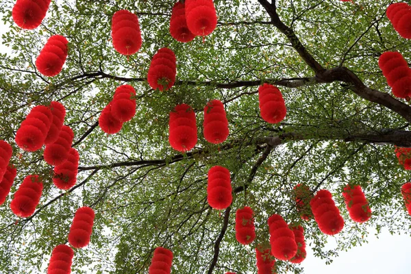 Pohled Zelený Strom Zdobený Tradičními Červenými Lucernami Oslavu Čínského Jarního — Stock fotografie