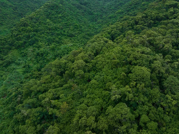 Aerial View Beautiful Tropical Forest Mountain Landscape — Stock Fotó