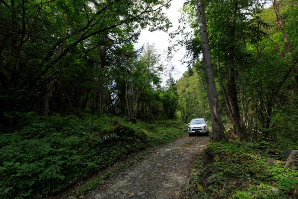 Conducir Fuera Del Coche Carretera Bosque Montaña Gran Altitud — Foto de Stock