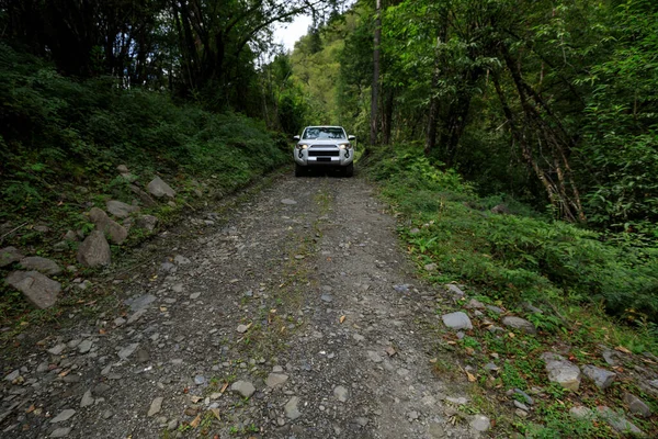 Condução Road Car Floresta Montanha Alta Altitude — Fotografia de Stock