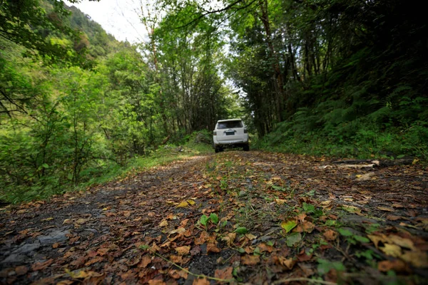 Condução Road Car Floresta Montanha Alta Altitude — Fotografia de Stock