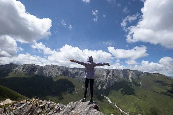 Femme Réussie Randonnée Sur Sommet Montagne Alpin — Photo