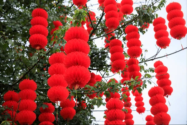 Вид Зелене Дерево Прикрашене Традиційними Червоними Ліхтарями Святкування Китайських Весняних — стокове фото