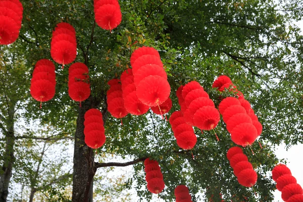 Вид Зеленое Дерево Украшенное Традиционными Красными Фонарями Честь Китайского Весеннего — стоковое фото