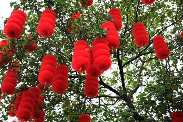 Вид Зелене Дерево Прикрашене Традиційними Червоними Ліхтарями Святкування Китайських Весняних — стокове фото