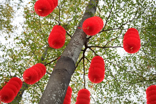 Pohled Zelený Strom Zdobený Tradičními Červenými Lucernami Oslavu Čínské Jarní — Stock fotografie