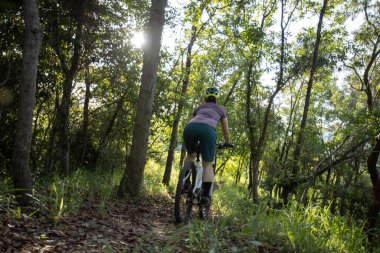 Mountain biking in summer forest