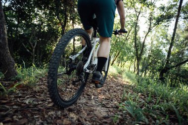 Mountain biking in summer forest