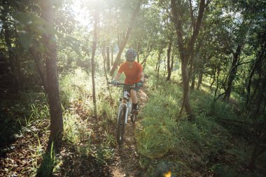 Mountain biking in summer forest