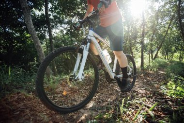 Mountain biking in summer forest