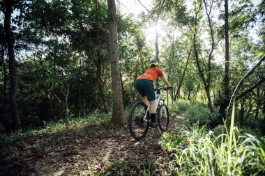 Mountain biking in summer forest