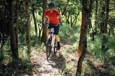 Mountain biking in summer forest