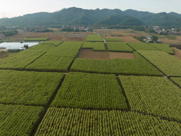 Vista Aérea Paisagem Campo China — Fotografia de Stock