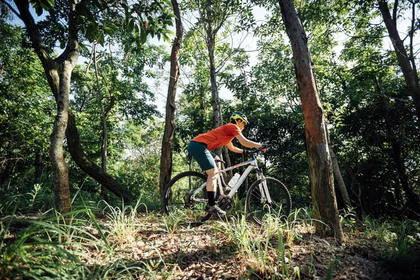Mountain Biking Summer Forest — Foto Stock