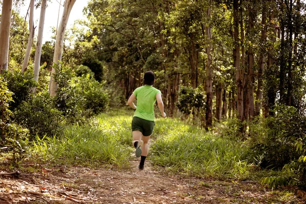 Woman Trail Runner Running Tropical Forest Mountain Peak — Stockfoto