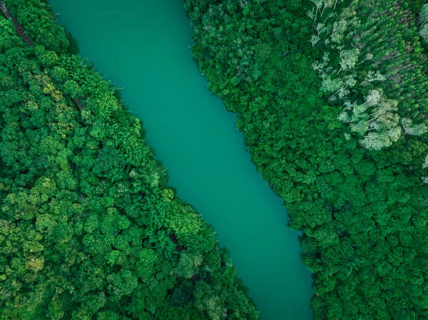stock image Aerial view of landscape of forest at the lakeside