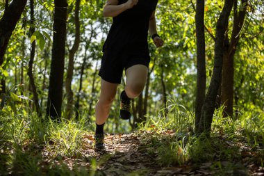 Yaz ormanı yolunda koşan bir kadın koşucu.