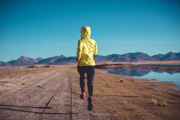 Kobieta Szlak Biegacz Biegnie Kraju Zimą Dużej Wysokości Jeziora — Zdjęcie stockowe