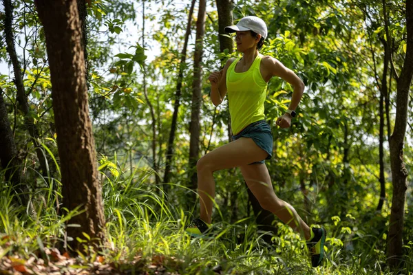 Trail runner running in summer forest trail