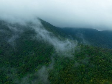 Güzel orman dağ manzarasının havadan görünüşü