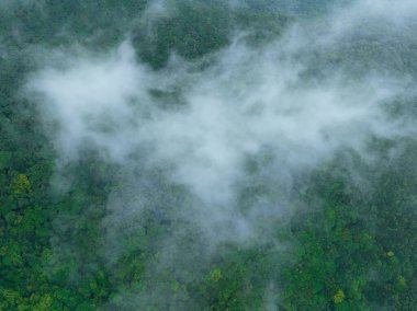 Güzel orman dağ manzarasının havadan görünüşü