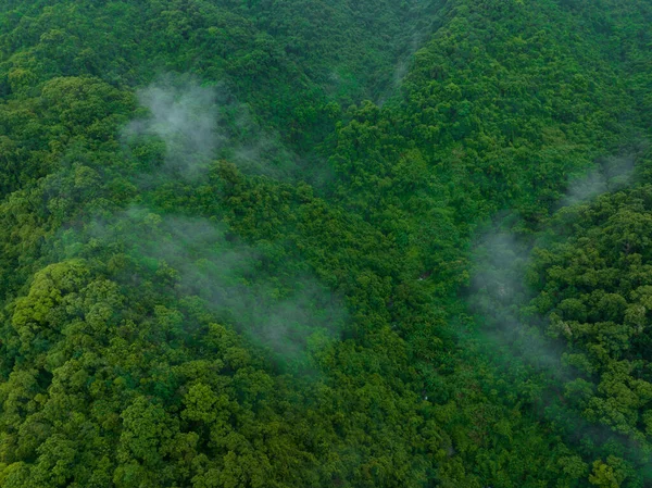 Vista Aérea Bela Paisagem Montanha Floresta — Fotografia de Stock