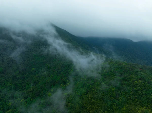 Veduta Aerea Bellissimo Paesaggio Montagna Foresta — Foto Stock