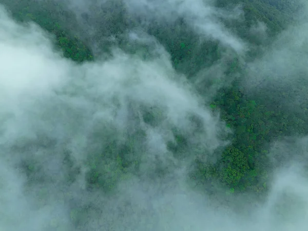 Vista Aérea Del Hermoso Paisaje Montaña Del Bosque —  Fotos de Stock