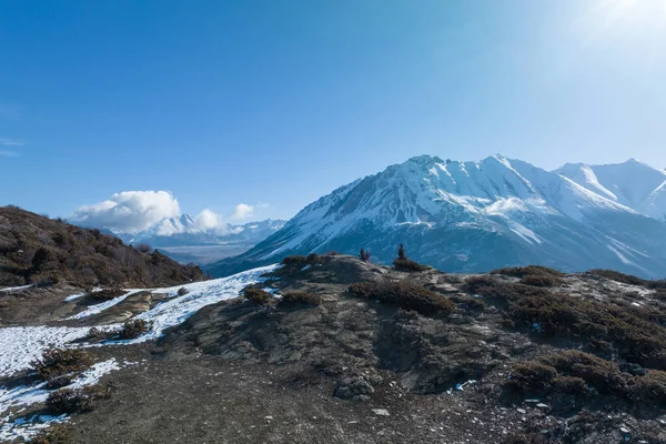 Льодовики Гори Тибеті Китай — стокове фото