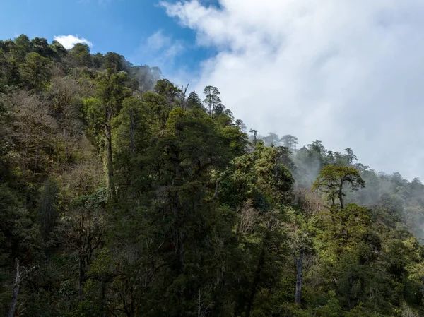 stock image Aerial view of beautiful high altitude forest mountain landscape in tibet,China