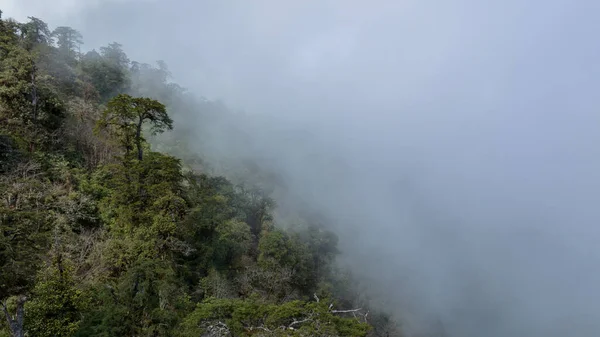 Vista Aérea Del Hermoso Paisaje Montañoso Del Bosque Gran Altitud — Foto de Stock