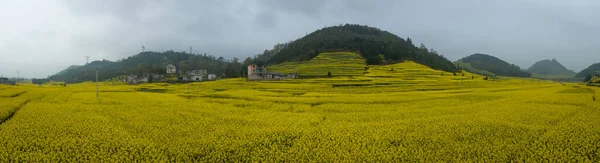 Αεροφωτογραφία Των Κίτρινων Λουλουδιών Cole Ανθίζουν Στην Ύπαιθρο Επαρχία Yunnan — Φωτογραφία Αρχείου