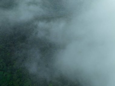 Güzel orman dağ manzarasının havadan görünüşü