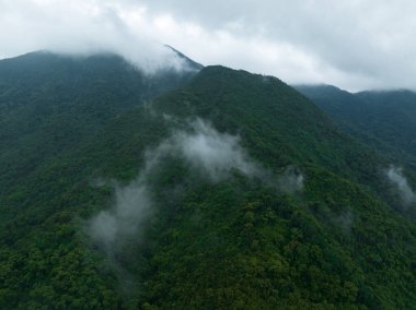Güzel orman dağ manzarasının havadan görünüşü