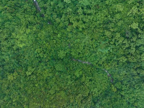 Letecký Pohled Krásné Lesní Horské Krajiny — Stock fotografie