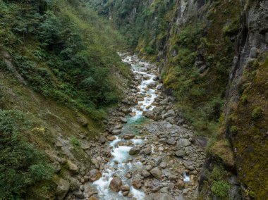 Tibet, Çin 'deki güzel orman manzarası.